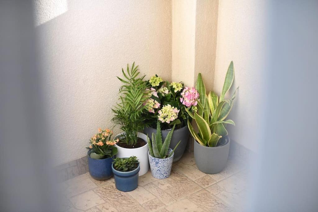 Family Apartment Manuela Zadar Exterior photo